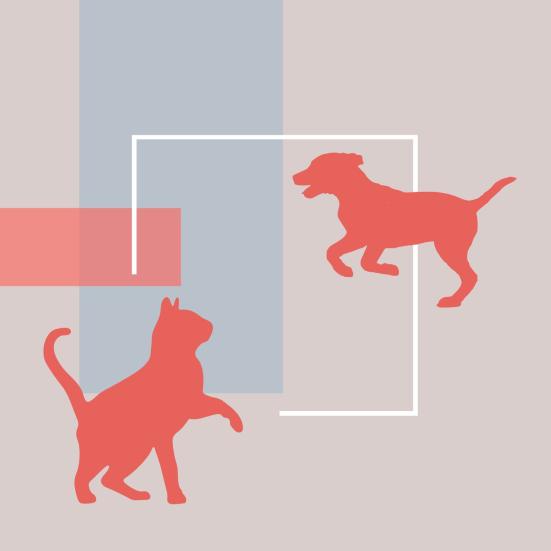 hund og kat